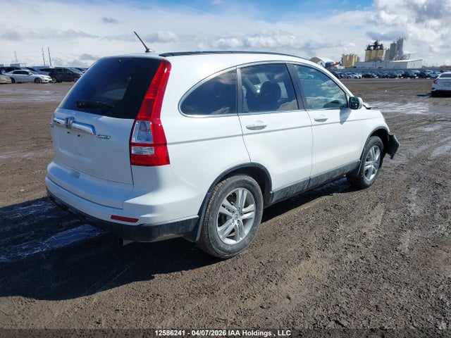 Auction sale of the 2011 Honda Cr-v, vin: 5J6RE3H55BL803683, lot number: 12586241