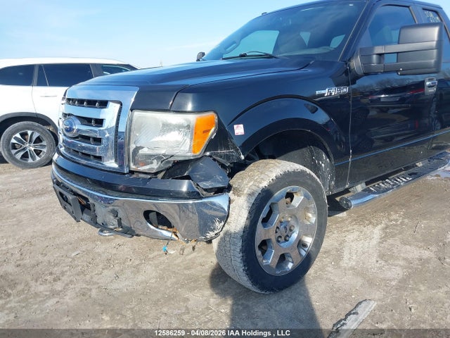 2009 Ford F-150 Lariat/xl/xlt მანქანა იყიდება აუქციონზე, vin: 1FTPX14V69KC86850, აუქციონის ნომერი: 12586259
