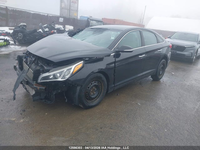 5NPE24AFXFH210613 Hyundai SONATA GLS