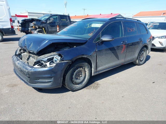 3VWC17AU3GM522677 Volkswagen Golf Sportwagen S/se/sel/limited
