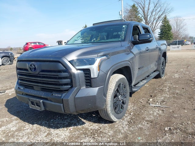2024 Toyota Tundra Crewmax Limited/crewmax Platinum/crewmax 1794 მანქანა იყიდება აუქციონზე, vin: 5TFWA5DB1RX146315, აუქციონის ნომერი: 12586468