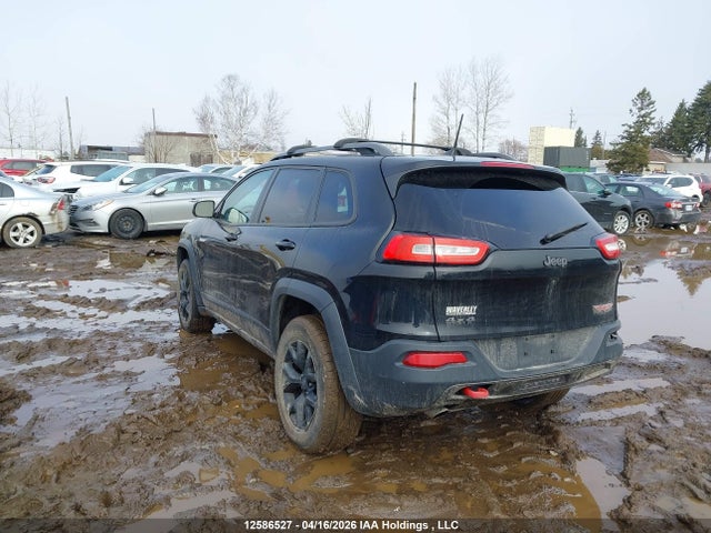1C4PJMBBXHW532589 Jeep Cherokee Trailhawk