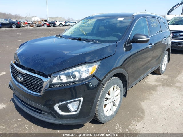 5XYPG4A33GG159559 KIA Sorento Lx/l