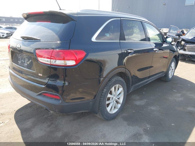 5XYPG4A33GG159559 KIA Sorento Lx/l