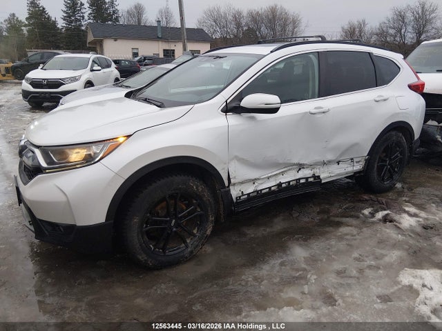 2019 Honda Cr-v Ex-l მანქანა იყიდება აუქციონზე, vin: 2HKRW2H88KH118508, აუქციონის ნომერი: 12563445