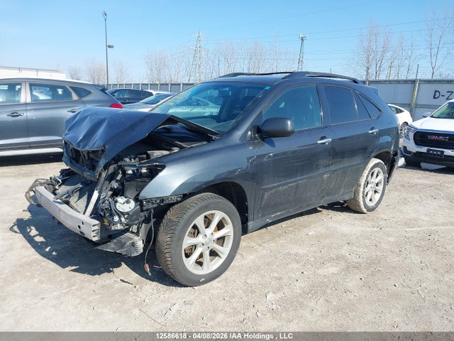 2009 Lexus Rx 350 მანქანა იყიდება აუქციონზე, vin: 2T2HK31U99C122886, აუქციონის ნომერი: 12586618