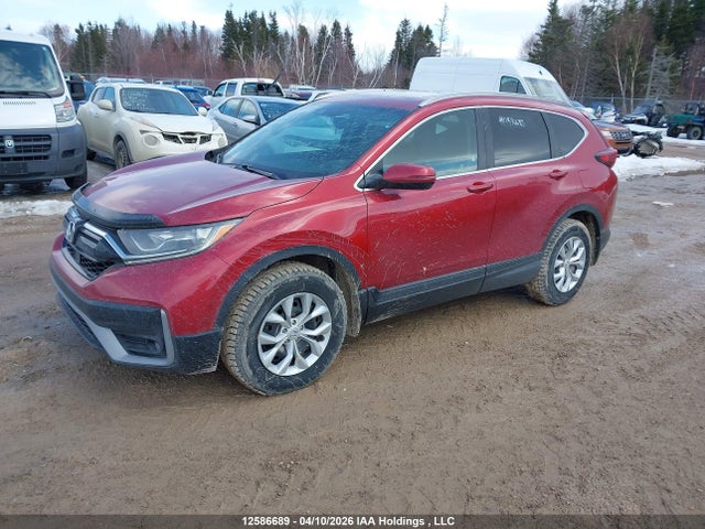 2HKRW2H88LH213023 Honda Cr-v Ex-l
