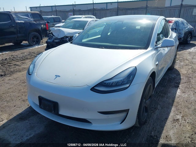 Продажа на аукционе авто 2020 Tesla Model 3 Standard Range Plus, vin: 5YJ3E1EA4LF789698, номер лота: 12586712