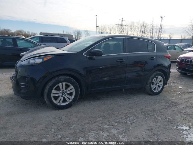 Продажа на аукционе авто 2019 Kia Sportage Lx, vin: KNDPM3AC6K7537219, номер лота: 12565046
