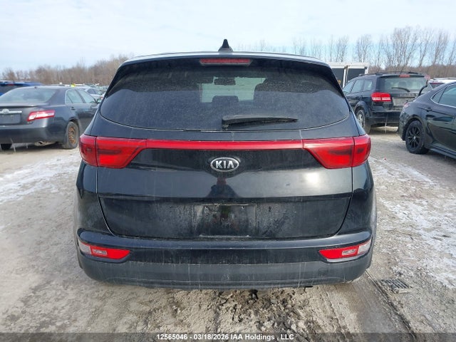Продажа на аукционе авто 2019 Kia Sportage Lx, vin: KNDPM3AC6K7537219, номер лота: 12565046