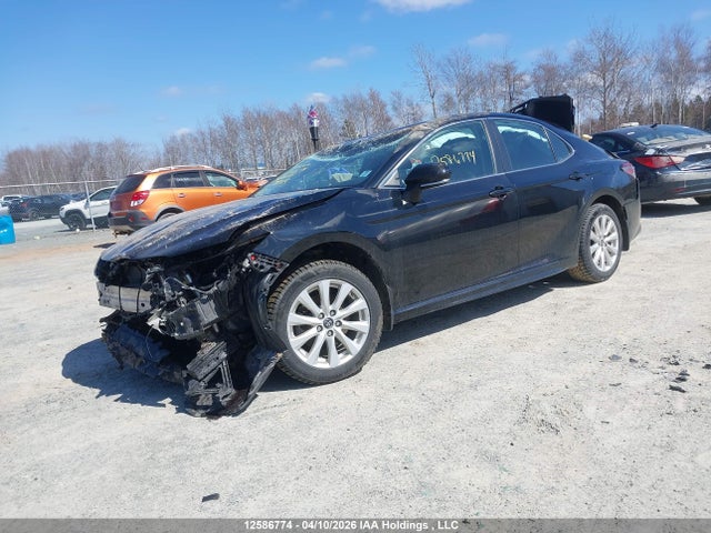 4T1B11HK2KU787185 Toyota Camry L/le/xle/se/xse