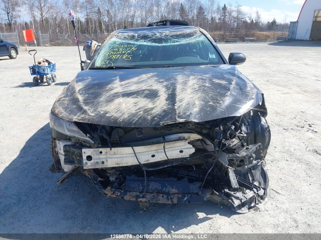 4T1B11HK2KU787185 Toyota Camry L/le/xle/se/xse