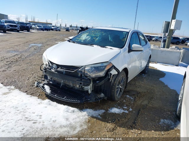 2T1BURHE4GC636387 Toyota Corolla L/le/le Pls/prm/s/s Pls