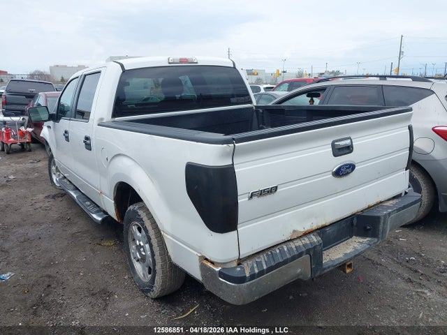 12586851 :رقم المزاد ، 1FTFW1ET2DFC21796 vin ، 2013 Ford F150 Supercrew مزاد بيع