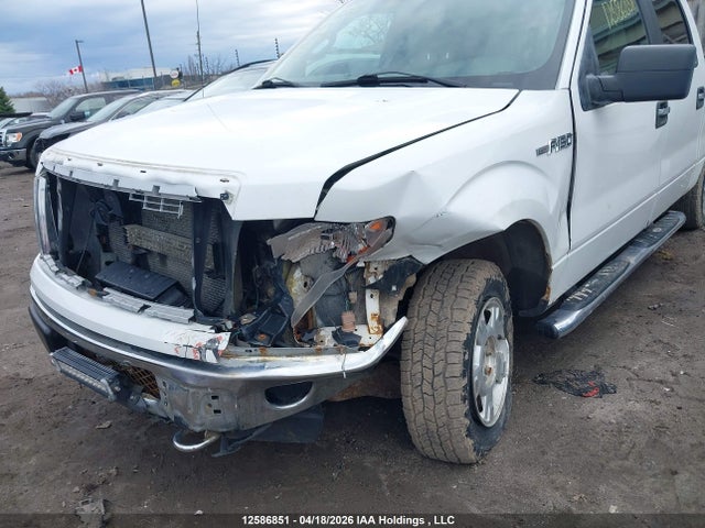 12586851 :رقم المزاد ، 1FTFW1ET2DFC21796 vin ، 2013 Ford F150 Supercrew مزاد بيع