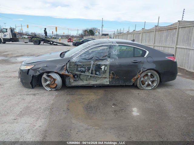 2009 Acura Tl მანქანა იყიდება აუქციონზე, vin: 19UUA96249A800773, აუქციონის ნომერი: 12586864