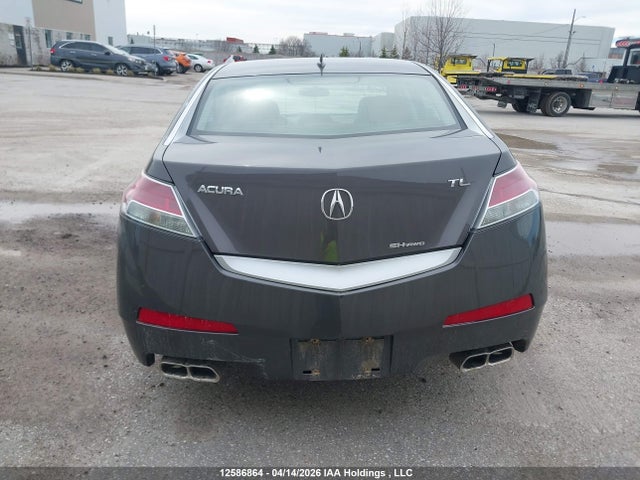 2009 Acura Tl მანქანა იყიდება აუქციონზე, vin: 19UUA96249A800773, აუქციონის ნომერი: 12586864