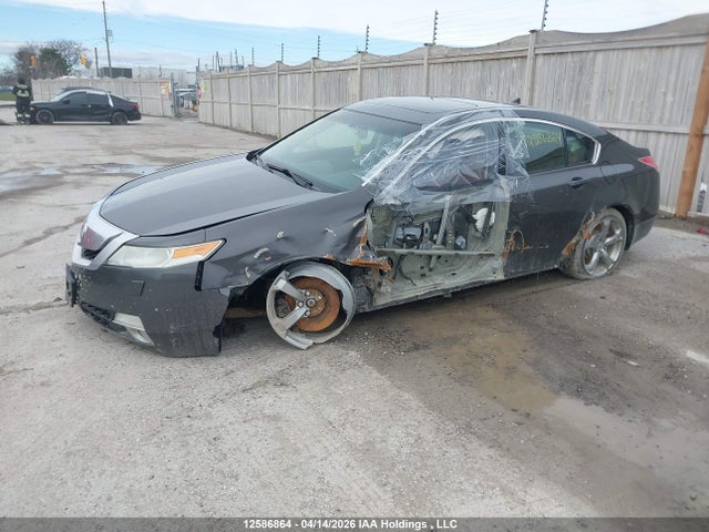 2009 Acura Tl მანქანა იყიდება აუქციონზე, vin: 19UUA96249A800773, აუქციონის ნომერი: 12586864