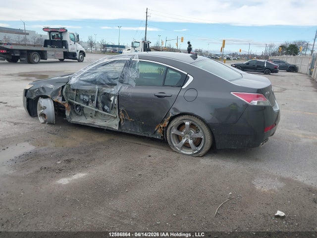 2009 Acura Tl მანქანა იყიდება აუქციონზე, vin: 19UUA96249A800773, აუქციონის ნომერი: 12586864