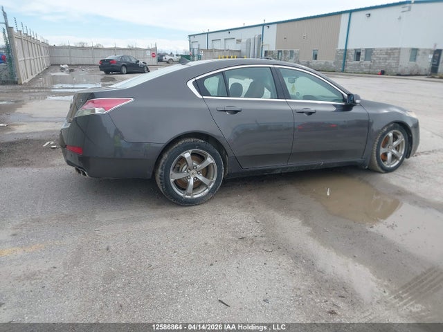 2009 Acura Tl მანქანა იყიდება აუქციონზე, vin: 19UUA96249A800773, აუქციონის ნომერი: 12586864