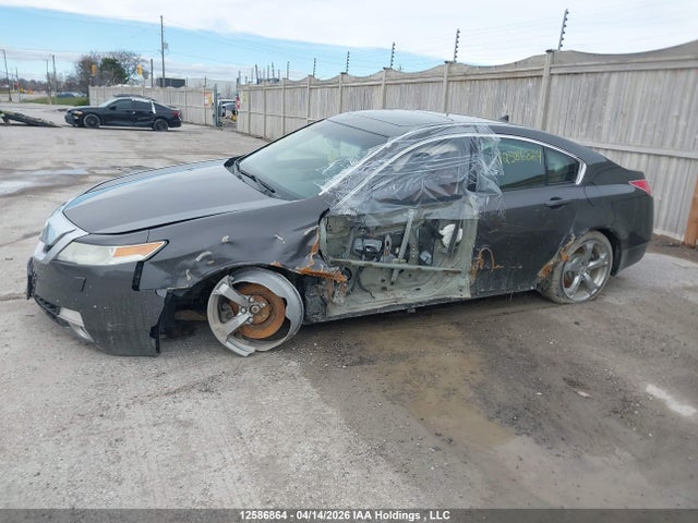 2009 Acura Tl მანქანა იყიდება აუქციონზე, vin: 19UUA96249A800773, აუქციონის ნომერი: 12586864