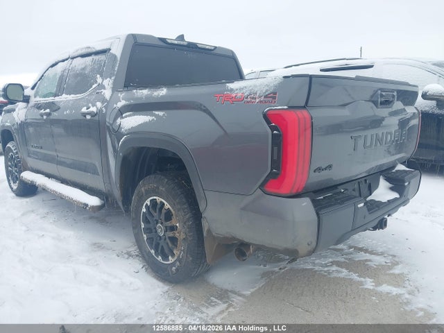 Aukcja sprzedaży 2024 Toyota Tundra Hybrid Limited 4x4, vin: 5TFWC5DB0RX077742, numer aukcji: 12586885