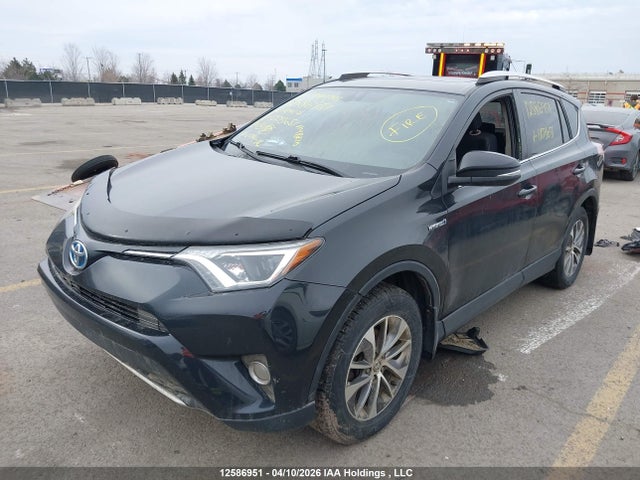 JTMRJREVXGD003651 Toyota Rav4 Hybrid Xle