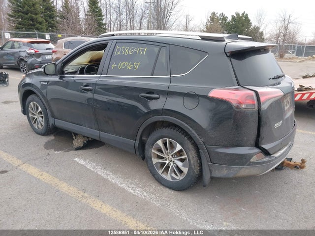 JTMRJREVXGD003651 Toyota Rav4 Hybrid Xle