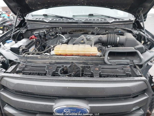 12586986 :رقم المزاد ، 1FTEW1EF2HFB56105 vin ، 2017 Ford F-150 مزاد بيع