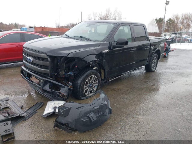 12586986 :رقم المزاد ، 1FTEW1EF2HFB56105 vin ، 2017 Ford F-150 مزاد بيع