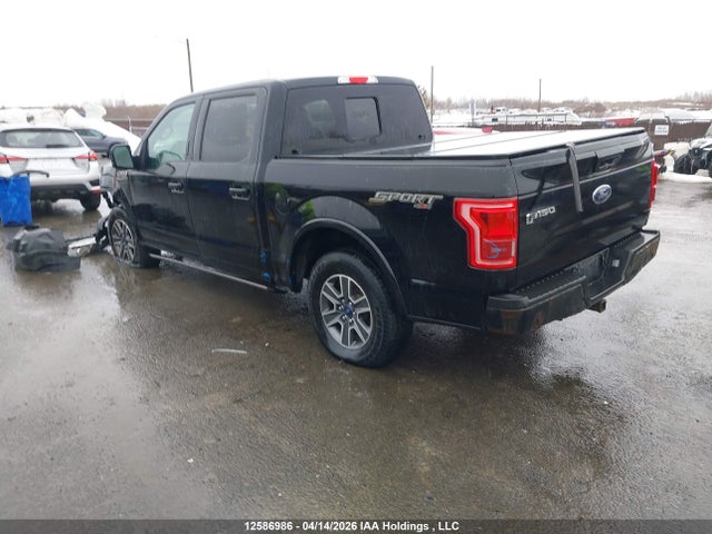 12586986 :رقم المزاد ، 1FTEW1EF2HFB56105 vin ، 2017 Ford F-150 مزاد بيع