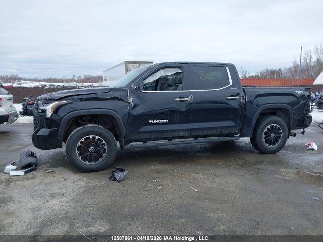 5TFJA5DB8PX058742 Toyota Tundra Limited