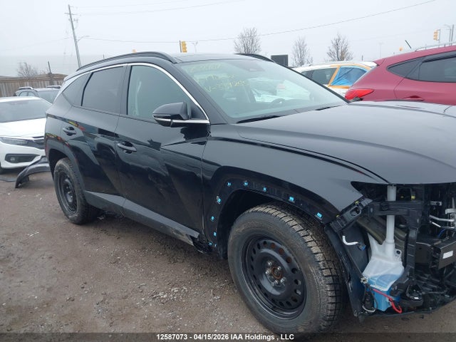 2024 Hyundai Tucson Trend Awd მანქანა იყიდება აუქციონზე, vin: KM8JCCDEXRU339255, აუქციონის ნომერი: 12587073