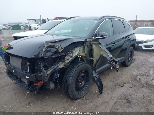 2024 Hyundai Tucson Trend Awd მანქანა იყიდება აუქციონზე, vin: KM8JCCDEXRU339255, აუქციონის ნომერი: 12587073