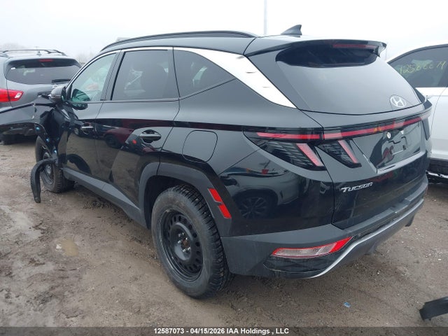 2024 Hyundai Tucson Trend Awd მანქანა იყიდება აუქციონზე, vin: KM8JCCDEXRU339255, აუქციონის ნომერი: 12587073