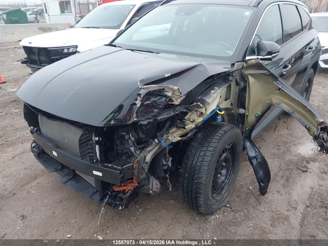 2024 Hyundai Tucson Trend Awd მანქანა იყიდება აუქციონზე, vin: KM8JCCDEXRU339255, აუქციონის ნომერი: 12587073