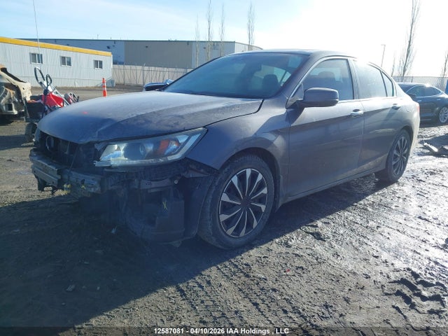 1HGCR2F85FA800843 Honda Accord Ex-l