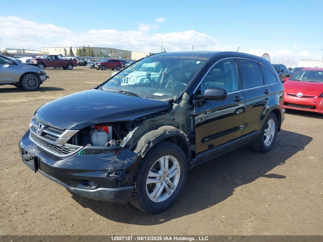 2010 Honda Cr-v Ex-l მანქანა იყიდება აუქციონზე, vin: 5J6RE4H74AL806726, აუქციონის ნომერი: 12587187