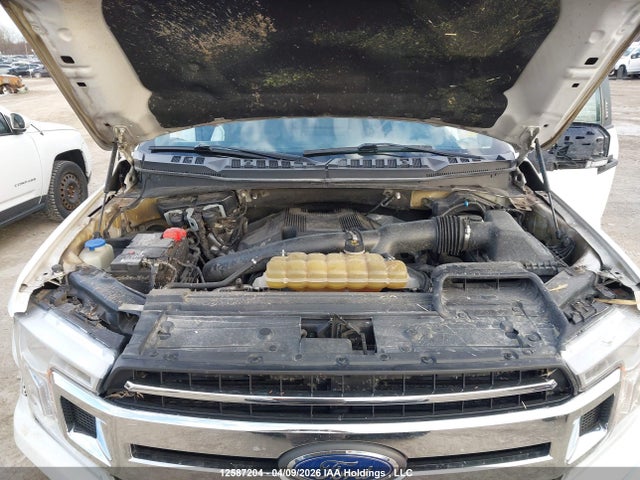 1FTNF1E45LKE14387 Ford F150