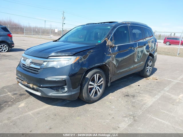 5FNYF6H75KB502805 Honda PILOT EXL