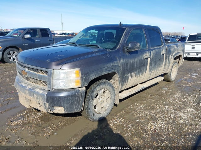 Продаж на аукціоні авто 2010 Chevrolet Silverado 1500 Lt, vin: 3GCRKSEA0AG105083, номер лоту: 12587228