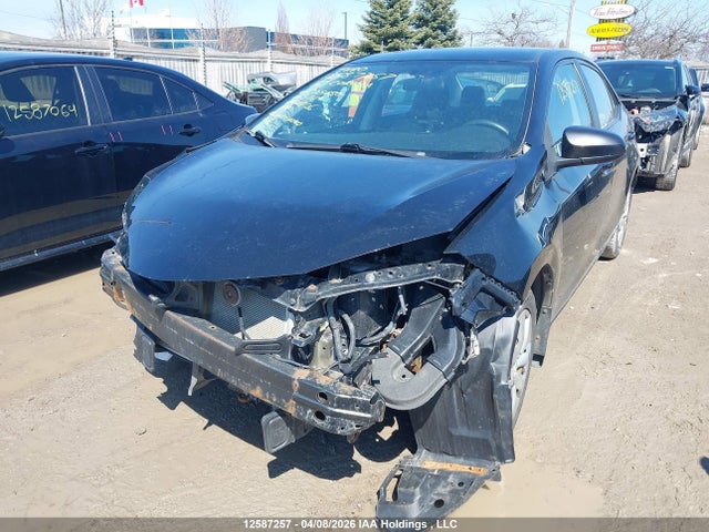 2T1BURHE0GC725650 Toyota Corolla L/le/le Pls/prm/s/s Pls