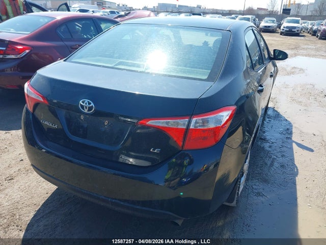 2T1BURHE0GC725650 Toyota Corolla L/le/le Pls/prm/s/s Pls