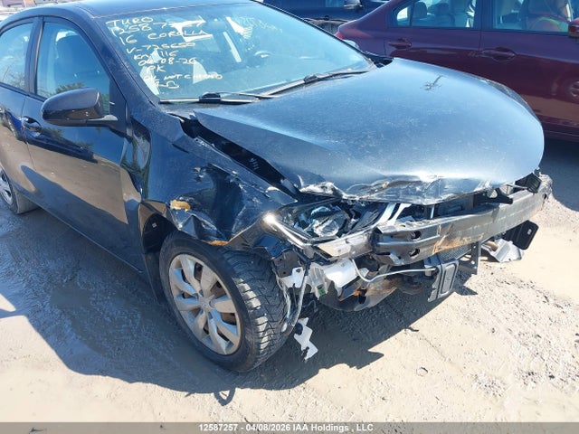 2T1BURHE0GC725650 Toyota Corolla L/le/le Pls/prm/s/s Pls