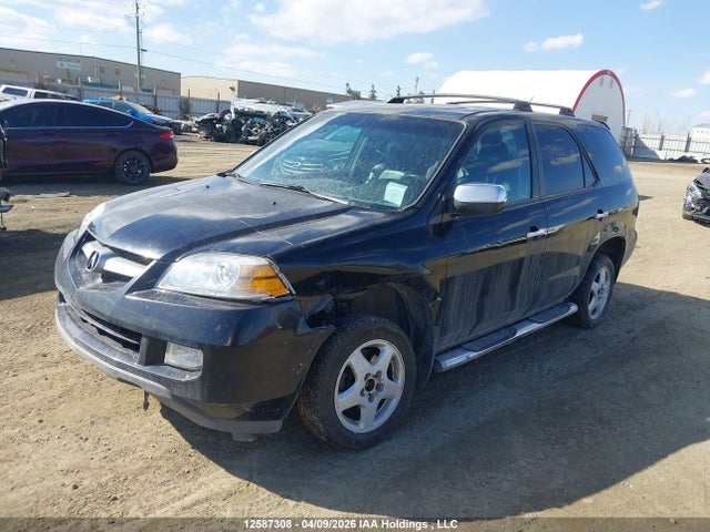 Продаж на аукціоні авто 2004 Acura Mdx Touring, vin: 2HNYD189X4H002897, номер лоту: 12587308