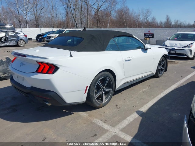 12587376 :رقم المزاد ، 1FAGP8UH6S5115089 vin ، 2025 Ford Mustang مزاد بيع