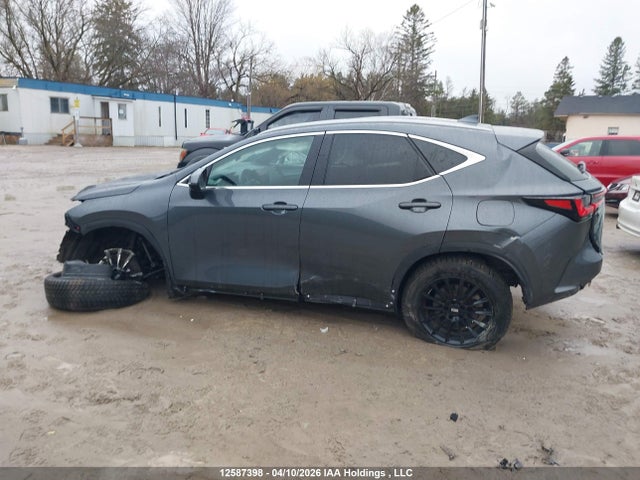 12587398 :رقم المزاد ، 2T2GKCEZ7RC027244 vin ، 2024 Lexus Nx 350h 350h مزاد بيع