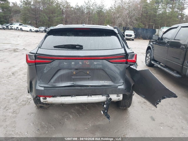 12587398 :رقم المزاد ، 2T2GKCEZ7RC027244 vin ، 2024 Lexus Nx 350h 350h مزاد بيع