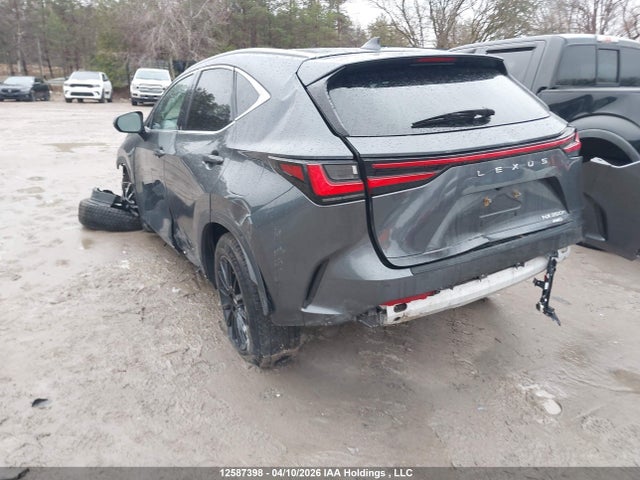 12587398 :رقم المزاد ، 2T2GKCEZ7RC027244 vin ، 2024 Lexus Nx 350h 350h مزاد بيع