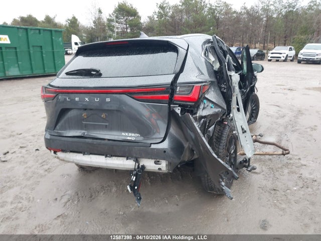 12587398 :رقم المزاد ، 2T2GKCEZ7RC027244 vin ، 2024 Lexus Nx 350h 350h مزاد بيع
